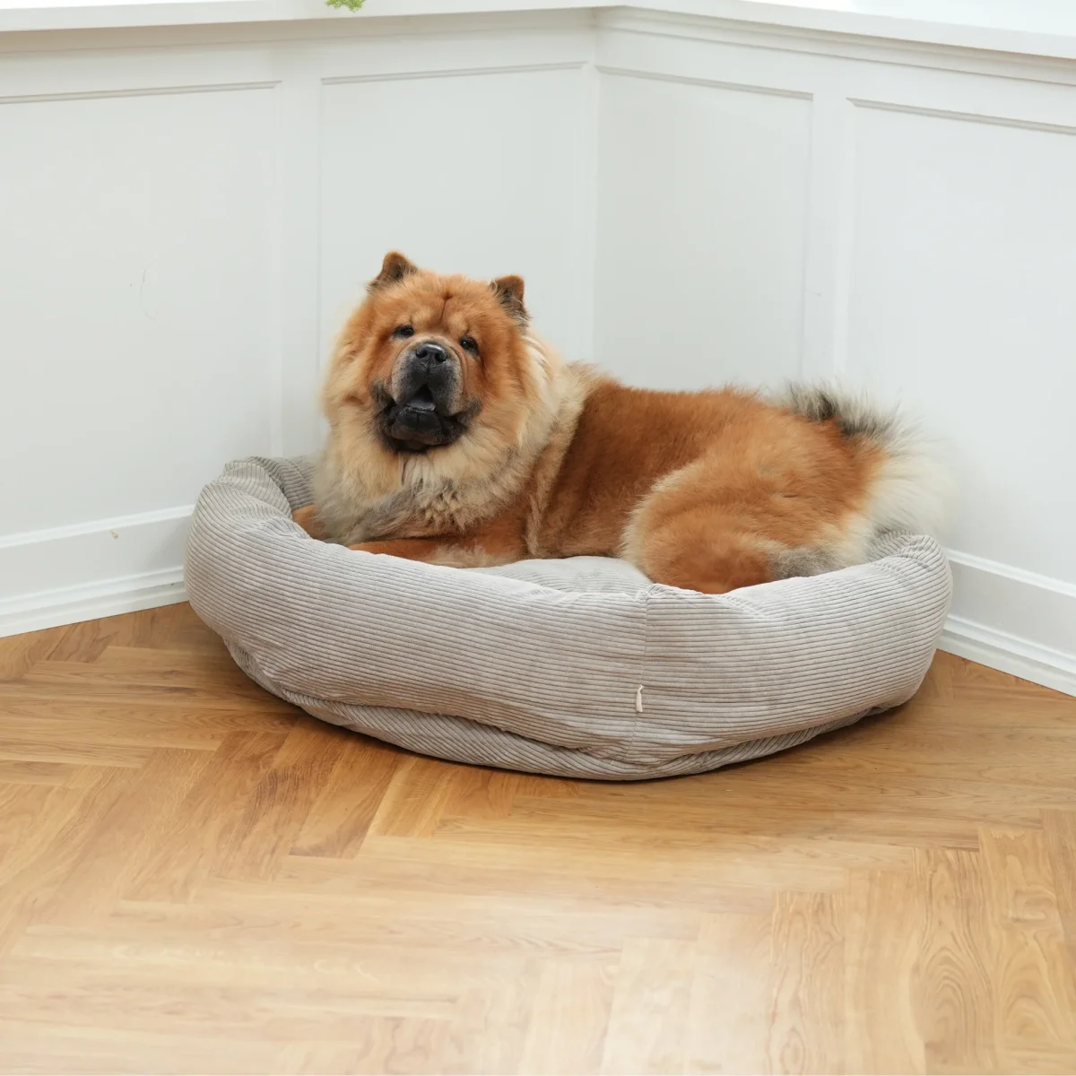 Staey - Luna 3.0 Hundeseng, Dune Fløjl - Billede 3