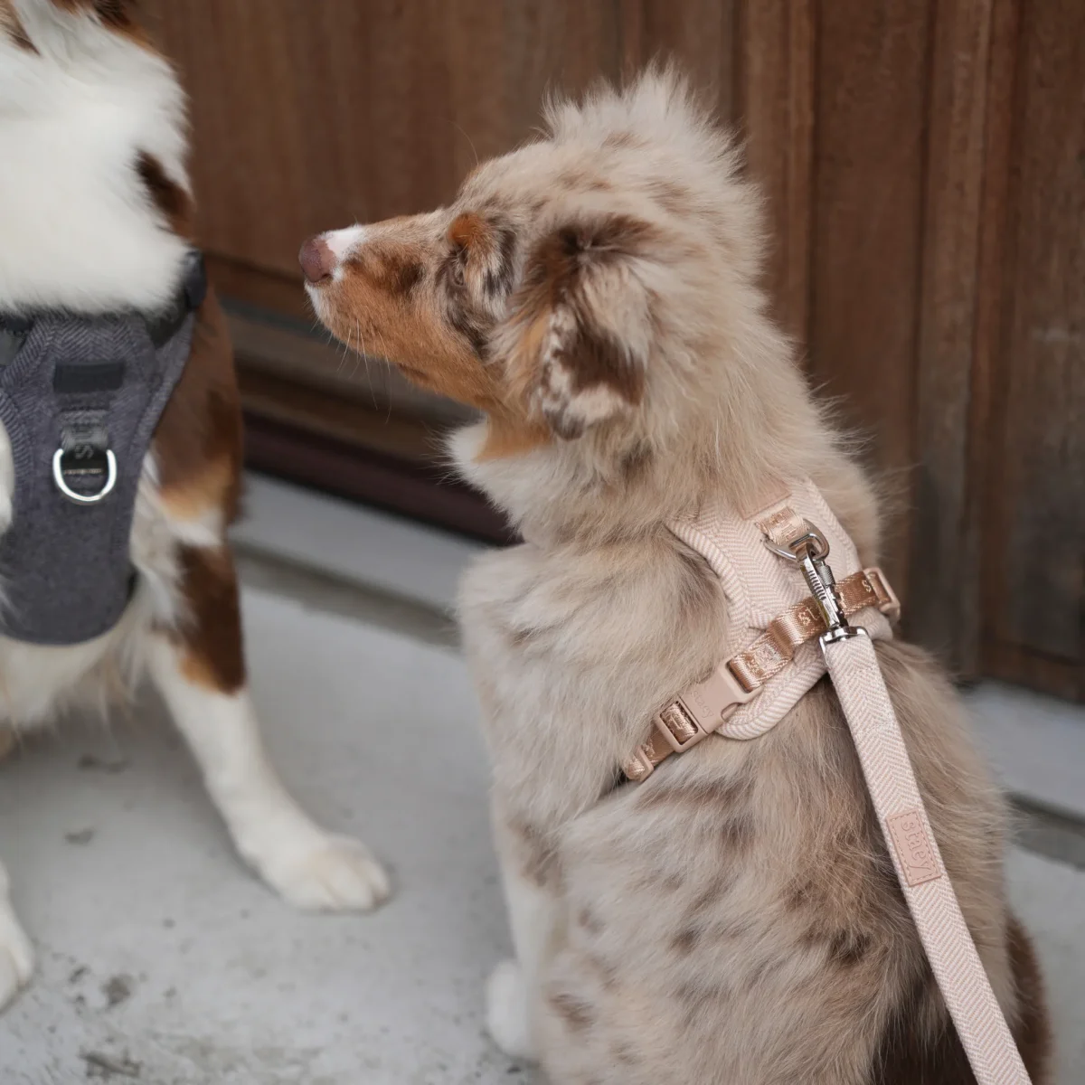 Staey - Elma Hundesele, Light Rose - Billede 7