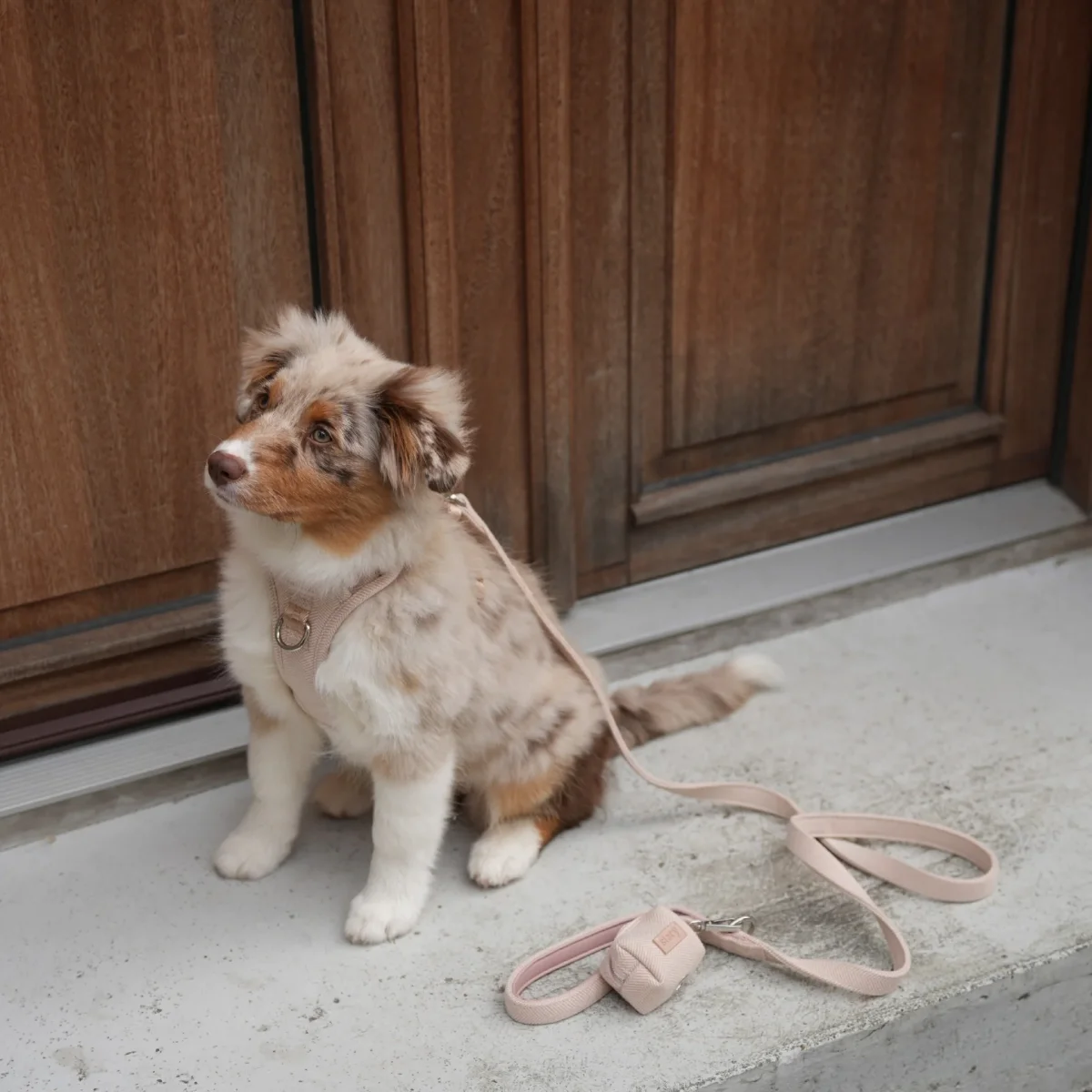 Staey - Elma Hundesele, Light Rose - Billede 5
