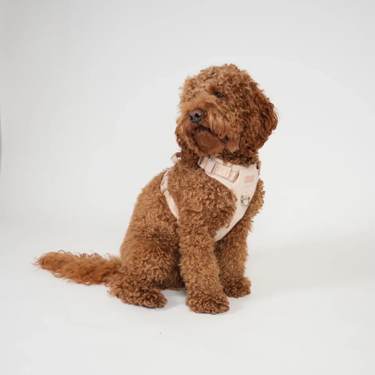 Staey - Elma Hundesele, Light Rose - Billede 3