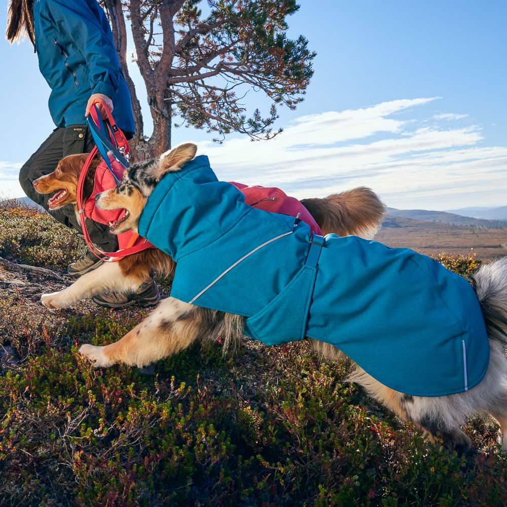 Hurtta Expedition Parka II hundedækken, Ocean - Billede 6